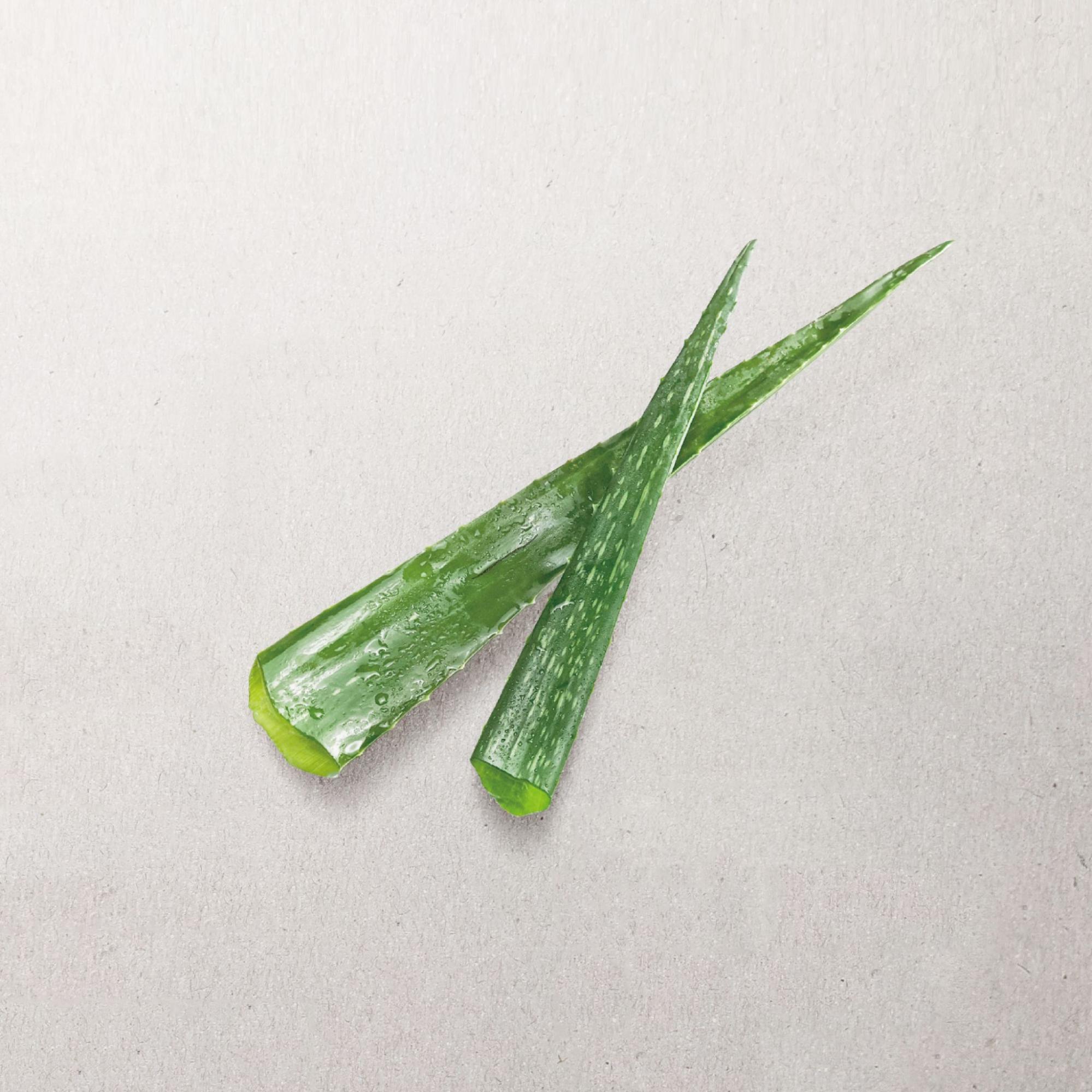 Organic Aloe Vera (USDA Certified)